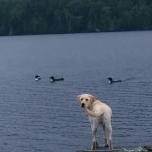 Meet your Posher, Lori